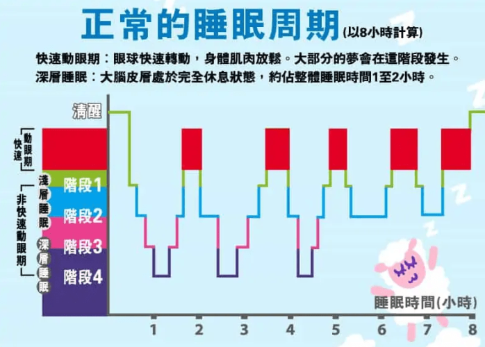 深層睡眠​需要睡多久