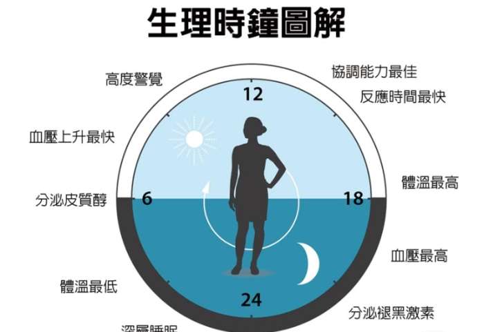 生理時鐘的定義